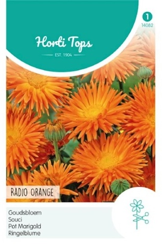 Calendula officinalis Radio Orange Quilled, Nechtík  cca. 2 g